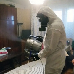 Дезинфекция от клопов в Сафоново