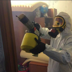 Уничтожение клопов в квартире. Сафоново